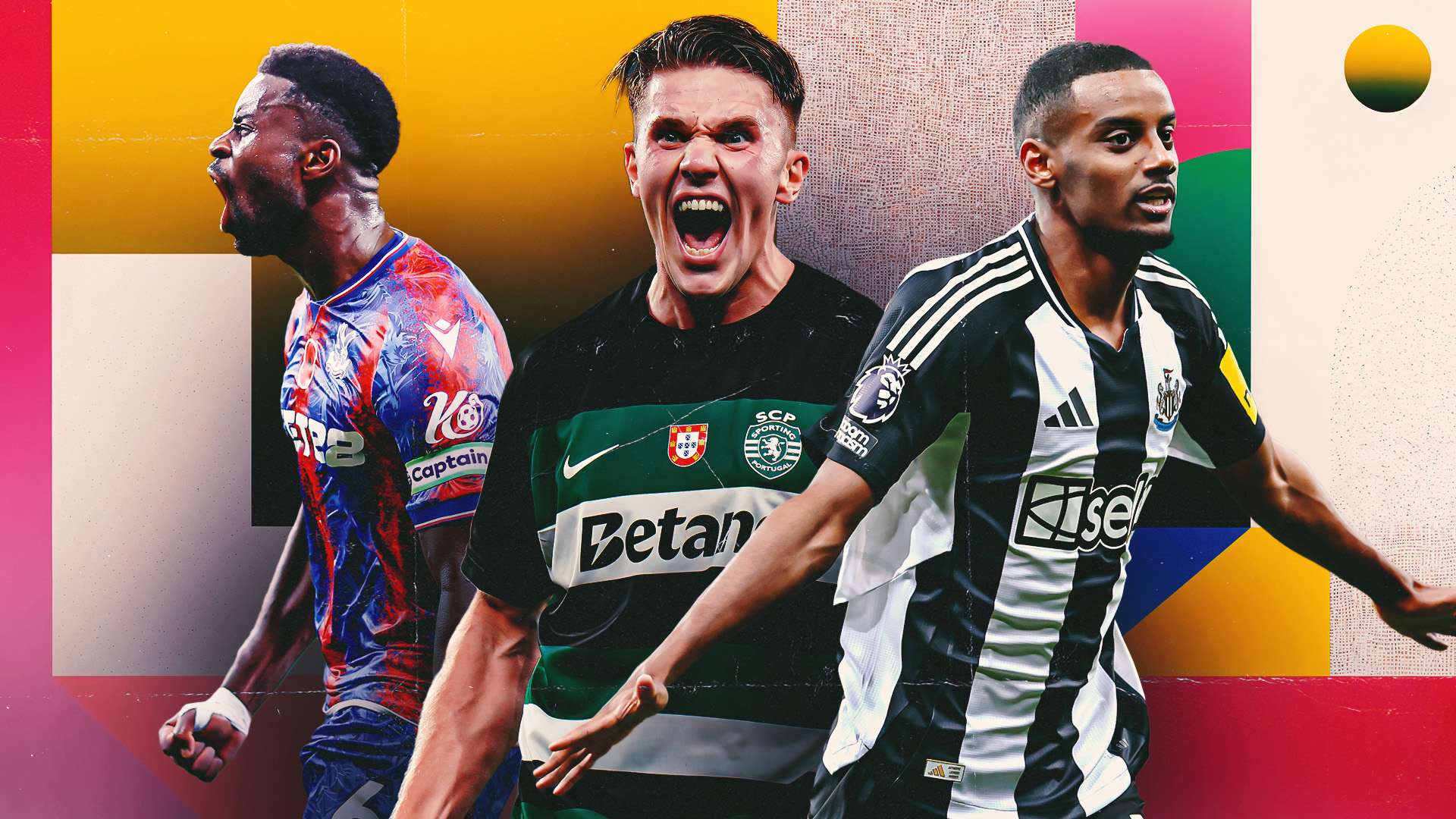 罗粉丝感受 罗粉丝感受