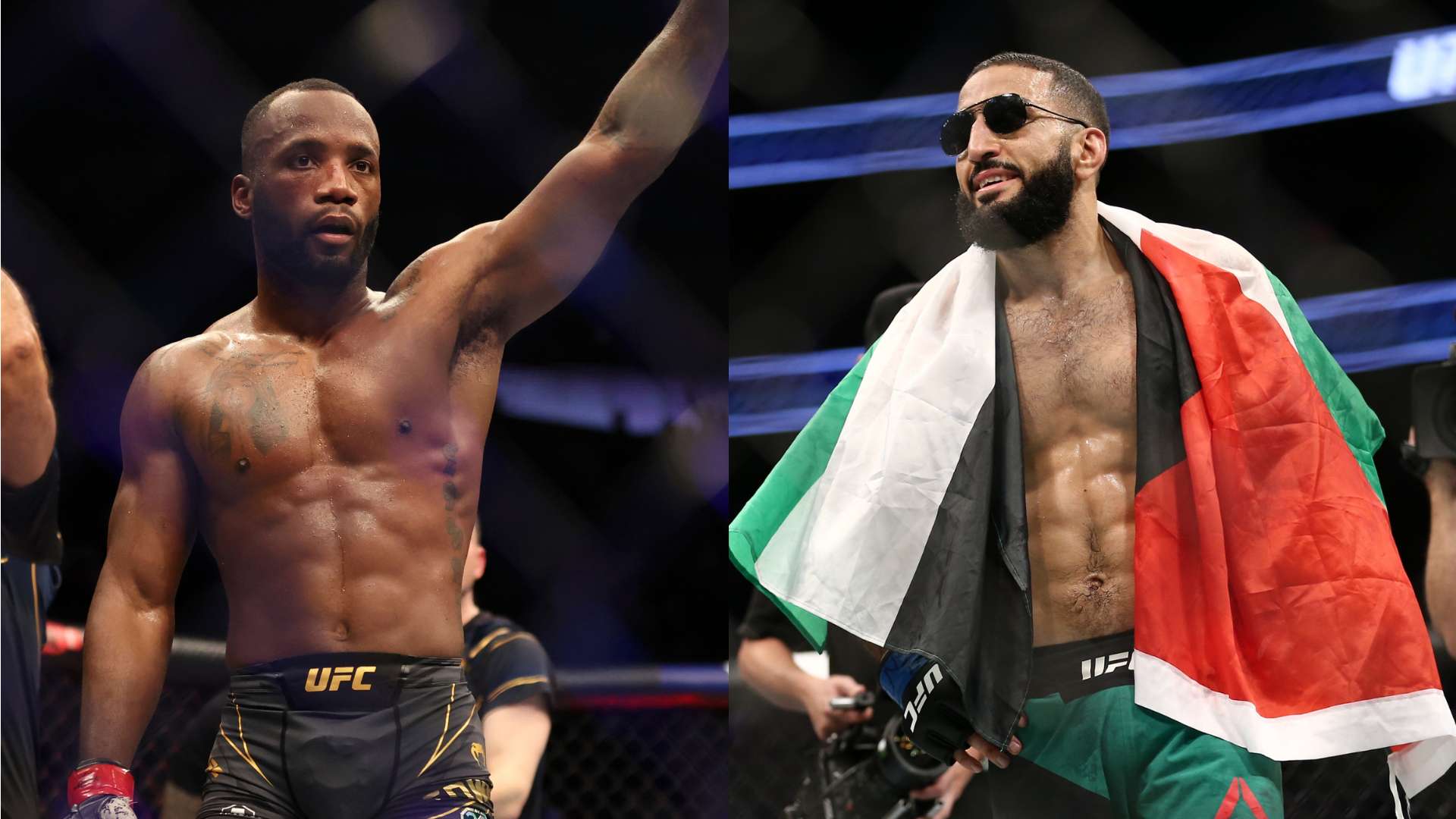 费额外的精 费额外的精