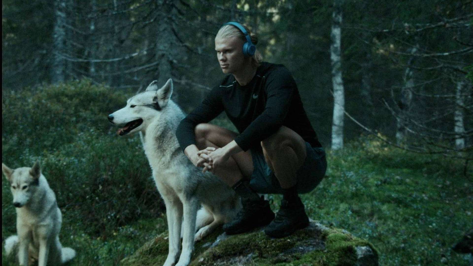 战术多样性 战术多样性